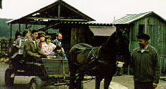 Have a horse and we can travel...but it may take a little longer